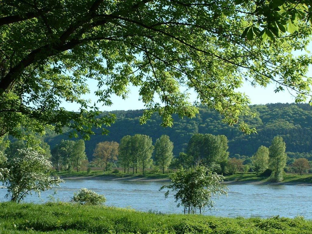 Zur Rheinschanz Bad Honningen Extérieur photo